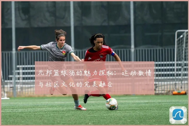 元邦篮球场的魅力探秘：运动激情与社区文化的完美融合