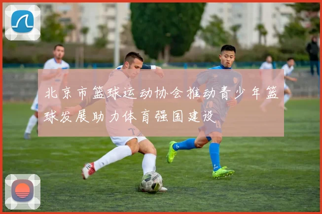 北京市篮球运动协会推动青少年篮球发展助力体育强国建设
