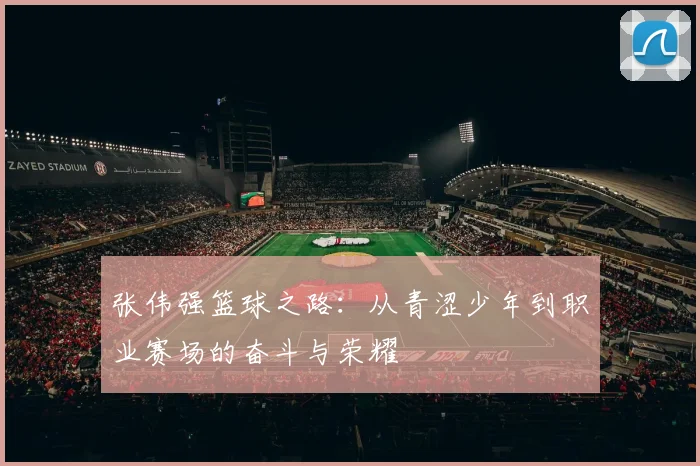 张伟强篮球之路：从青涩少年到职业赛场的奋斗与荣耀