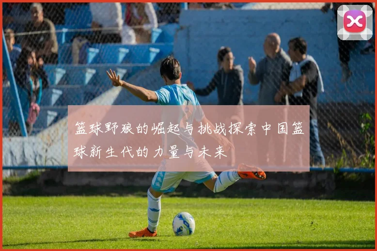 篮球野狼的崛起与挑战探索中国篮球新生代的力量与未来