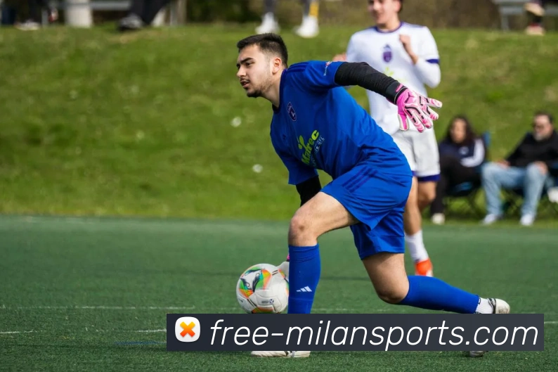 辅助工具 辅助工具